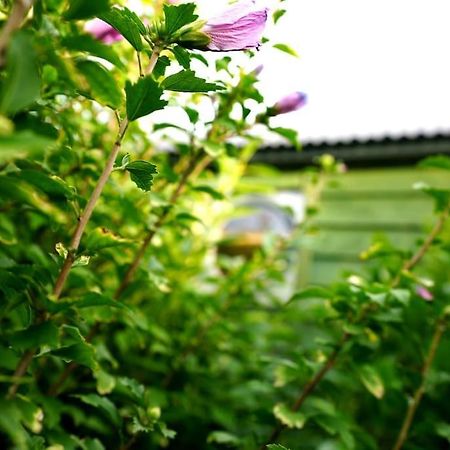 Romantic Retreat - Luxury Shepherds Hut + Hot Tub! Camborne Exteriör bild